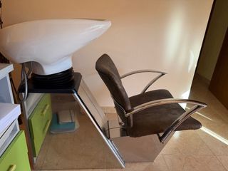 Lavacabezas profesional