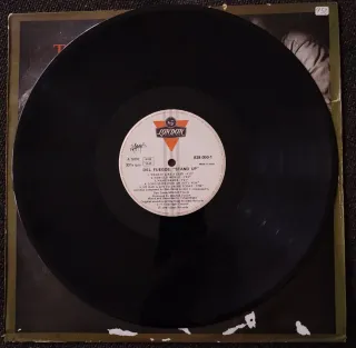 Vinilo The Del Fuego Stand Up Indie