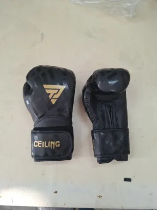 Par Guantes Boxeo PU 10 Oz Negro