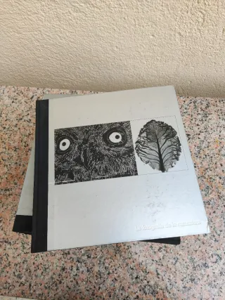 14 libros fotografia life