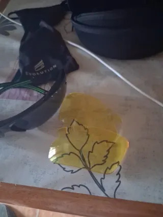 Gafas de sol Evolution azules y amarillas