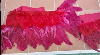 Disfraz fantasía plumas Carnaval