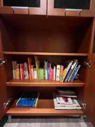 Librería Armario Madera y Cristal