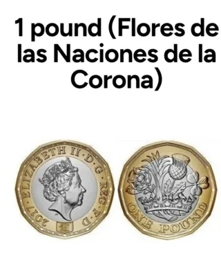 Moneda de 1 Libra