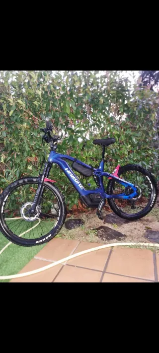 Haibike ALLMTN CF9 E-bike Carbono Talla L 24/25