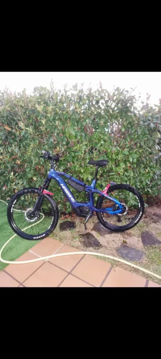Haibike ALLMTN CF9 E-bike Carbono Talla L 24/25