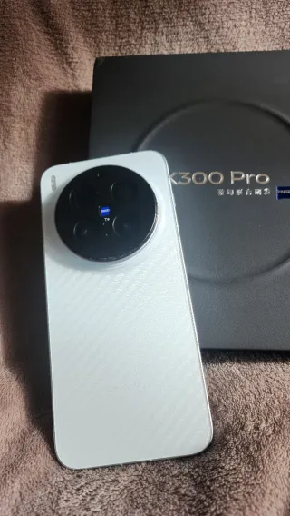 Vivo X300 Pro 16/512