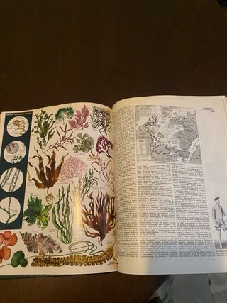 Enciclopedia Larrouse con un tomo de suplemento