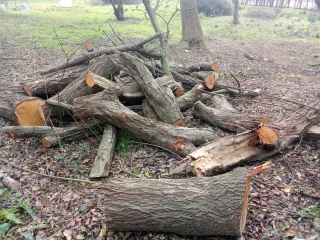 Leña para chimenea o barbacoa