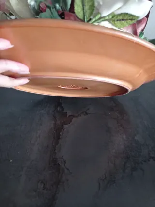 Fiori secchi decorativi