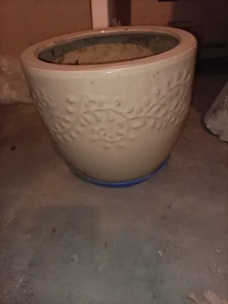 Macetero Beige con Plato Azul