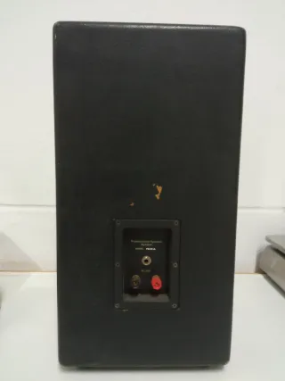 2 Altavoces pasivo negro