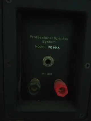 2 Altavoces pasivo negro