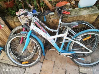 2 Biciclette Bambina e Bambino