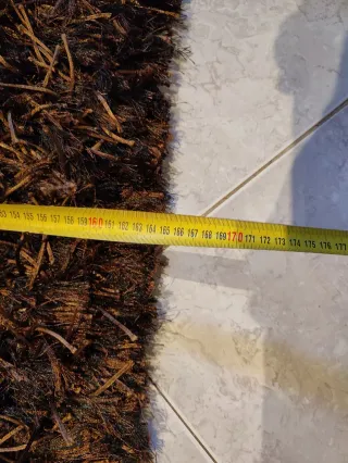 Alfombra Impecable marrón y negra