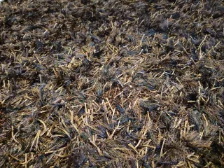 Alfombra Impecable marrón y negra