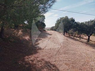 Terreno en venta en Ctra de Sevilla - Ronda sur en Badajoz