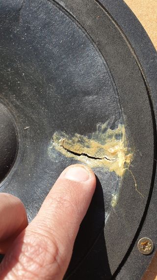 Altavoces APS 8 medios