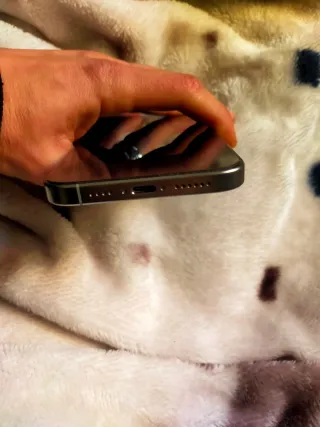 iPhone 16 Pro Max Plata