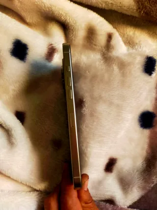 iPhone 16 Pro Max Plata