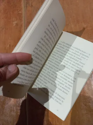 Arañas a medianoche (Spanish Edition)