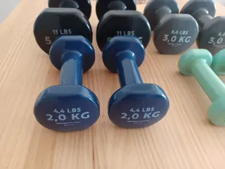 Set Mancuernas Vinilo