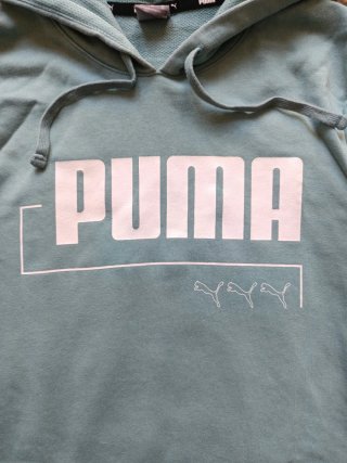 Sudadera Puma con capucha hombre