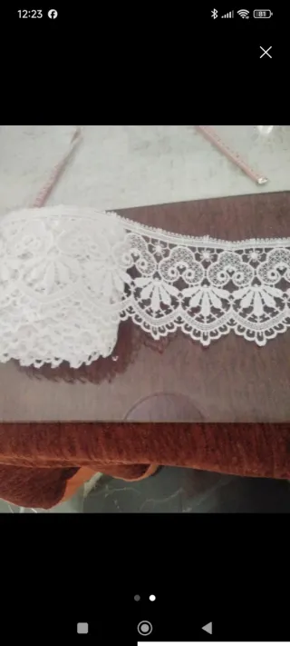 Tira de encaje blanco bordado