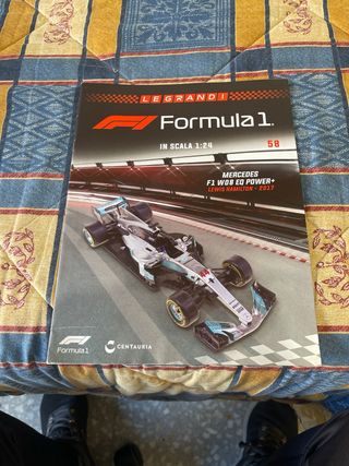 Mercedes F1 2017 Lewis Hamilton