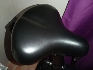 Bicicleta Estática Salter PT-1715