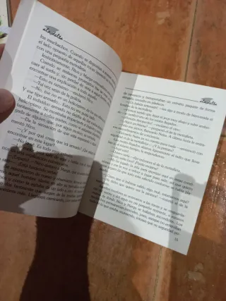 El SECRETO DEL GRAN RIO: AVENTURAS DE NICO (EDELVI