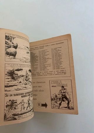 Zagor Zenith 121 - Fiamme nella Notte