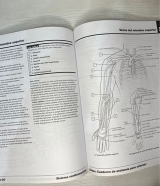 Netter Cuaderno de anatomía para colorear (2ª ed.)