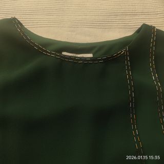 Vestido y chal elegante verde