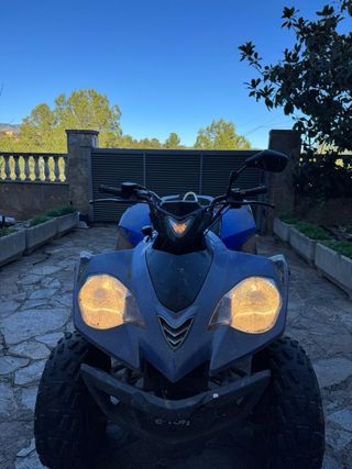Quad Eton Vector ST 250 2007