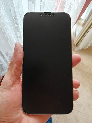 iPhone 13 Pro Max 256GB Grigio