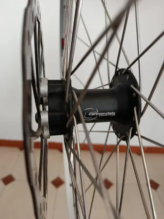 Rueda delantera Sun Rims buje Cannondale