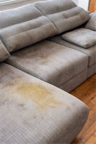 Limpieza profesional de sofás