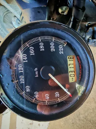 Harley-Davidson Iron 883 (2010) - Custom Bobber