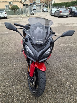 Kawasaki Ninja 1000 SX 40 Aniversario