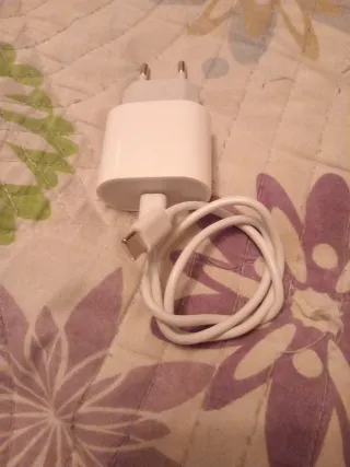 Cargador iPhone Original Apple