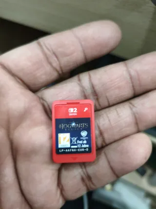 Hogwarts Legacy Switch