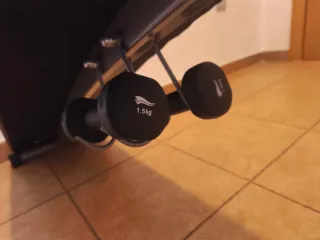 Banco abdominales ajustable Con dos mancuernas