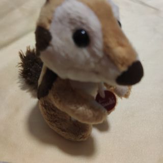 Peluche Trudi scoiattolo