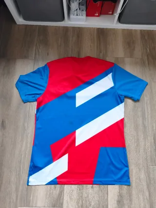 Camiseta Bayern Múnich Entrenamiento Talla L