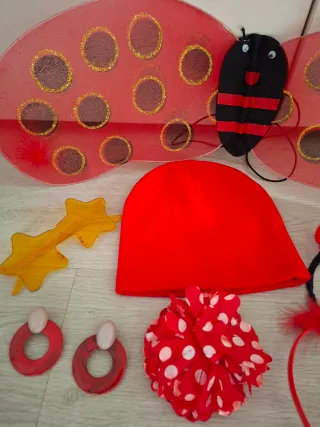 Disfraz carnaval mariquita