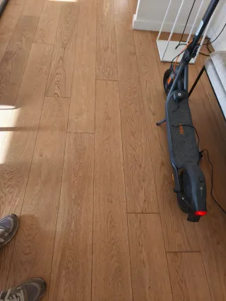 Patinete Eléctrico Ninebot F2 Plus