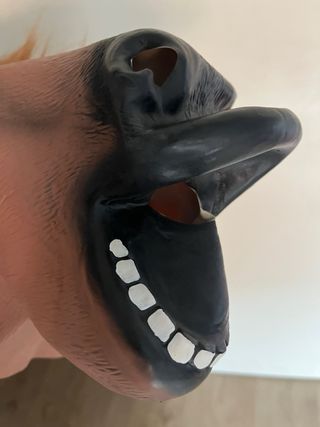 Disfraz de Caballo para Carnaval