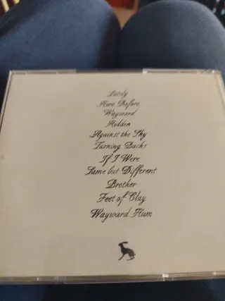 CD Vashti Bunyan - Lookaftering