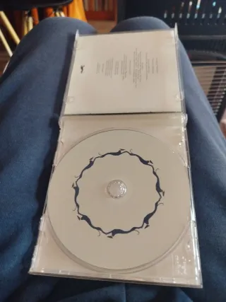 CD Vashti Bunyan - Lookaftering